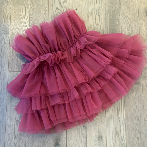 Altar'd State Dresses & Skirts - BNWT Altar'd State Vibrant Pink Layered Tulle mini dress